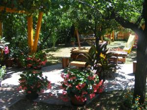 Napfény Apartmanház