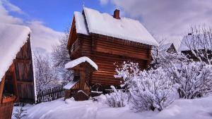 Ferienhaus U Odesyta Worochta Ukraine