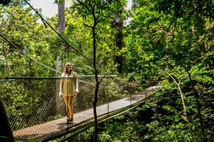 Jaguarundi Jungle Lodge