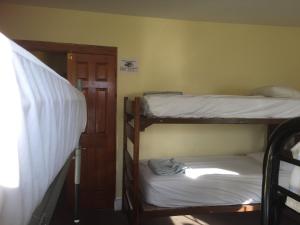 6-Bed Female Dormitory Room room in Washington International Student Center