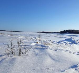 Kallaxgårdshotelapartment, Luleå