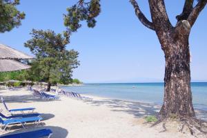 Rachoni Bay Thassos Greece