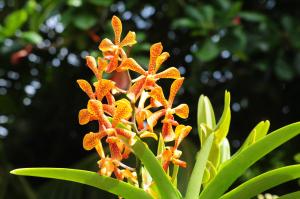 Hostellerie La Digue
