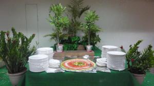 Sanu International