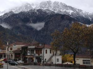 Artemis Apartments Epirus Greece