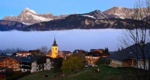 Chalets Chalet Nanook : photos des chambres