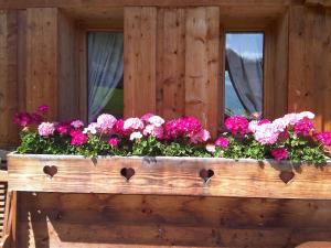 Chalets Chalet Nanook : photos des chambres