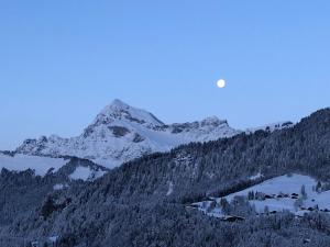 Chalets Chalet Nanook : photos des chambres