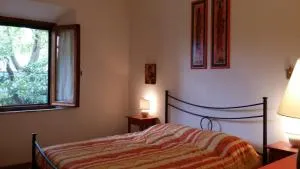 Sunflower - San Quirico dʼOrcia