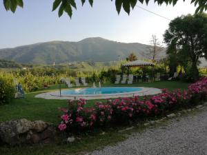 Azienda Agricola Campion