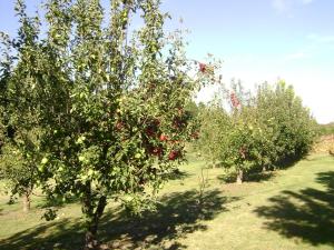 Maisons de vacances Gite La Gourmandine : photos des chambres