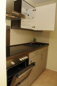 One-Bedroom Apartment room in Apartments am Brunnen