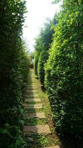 Garden Corner Resort & Hotel