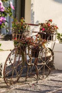 Pousada DBiagy Premium