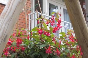 B&B West City Amsterdam