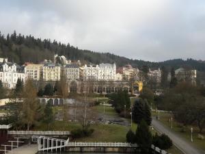 Apartment with Colonnade View  room in Apartments Central Park Marienbad