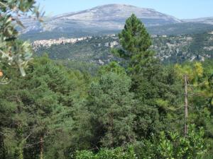 Appartements Villa Verdi : photos des chambres