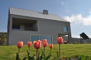 Appartement Dom Na Zboczu Łodygowice Polen