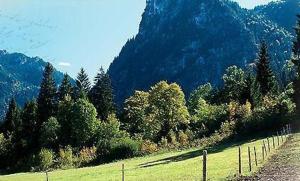 Gästehaus Enzianhof Hotel Garni