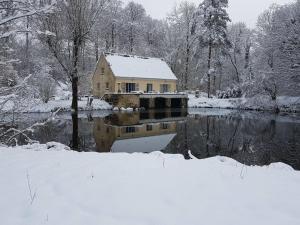 Maisons de vacances Nid dans la foret : photos des chambres