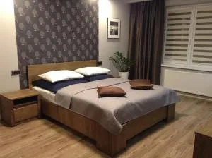 Apartament STUDENCKA - Jelení Hora