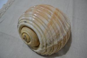 Superior Studio room in Kela's SEASHELL Art Decor Studio