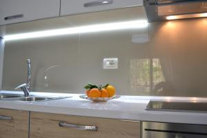 Seashell Art Decor Studio & Private Garage