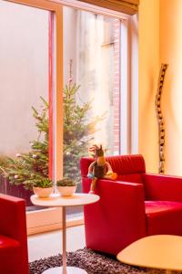 B&B Asinello