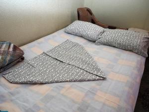 Accommodation in Peresvet