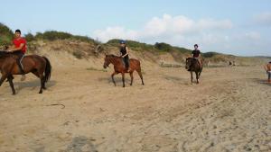 "SA DOMO DE SOS ARANZOS" img48