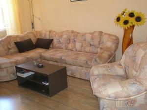 Two-Bedroom Apartment room in Apartments with WiFi Vodnjan Fazana - 14650