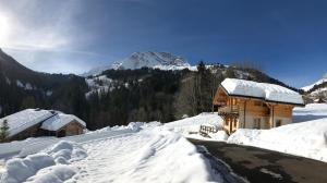 Chalets Chalet Ange : photos des chambres