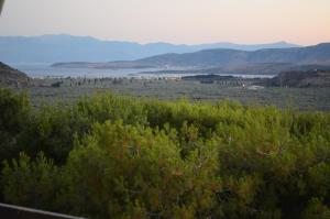 Chrissa Camping Rooms & Bungalows Parnassos Greece