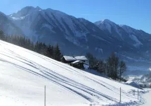 Art Chalet Vorderschuhzach - Hallmoos