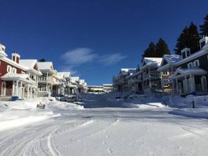 Condo Lac Archambault 324