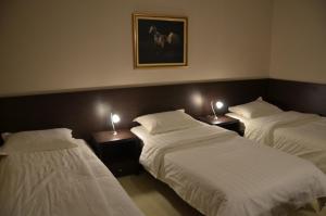 Triple Room with Balcony room in Hotel Golf Luxury