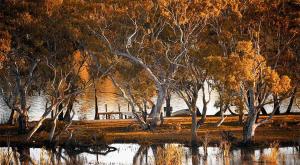 Riverview Rise Retreats