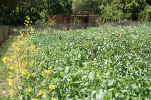 Maisons de vacances Relais du vieux sauvaire : photos des chambres