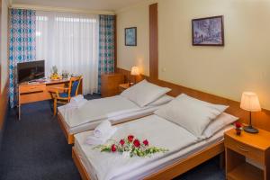 Standard Double or Twin Room room in TOP HOTEL Praha