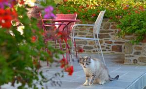 Maisons de vacances Hostellerie de la Motte jean : photos des chambres