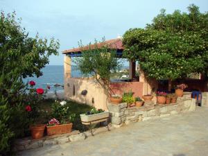 Ocea Retreat Samos Greece