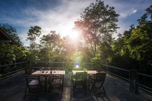 Rest Pause Rainforest Retreat