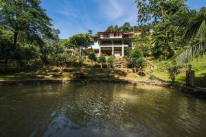 Rest Pause Rainforest Retreat