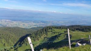 Appartements Les Chamois : photos des chambres