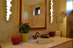 Villa Castelul Maria