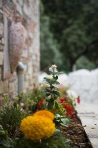 Magic Balcony Suite Apartments Pelion Greece