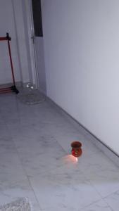 Coconut Garden House