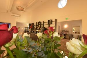 Hotels Hotel Villa Sophia - ADULTS ONLY JULY AND AUGUST : photos des chambres