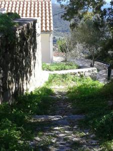 Fassoulou's cottage Ithaka Greece