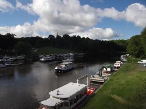 Ty Canal d'Or photo 18